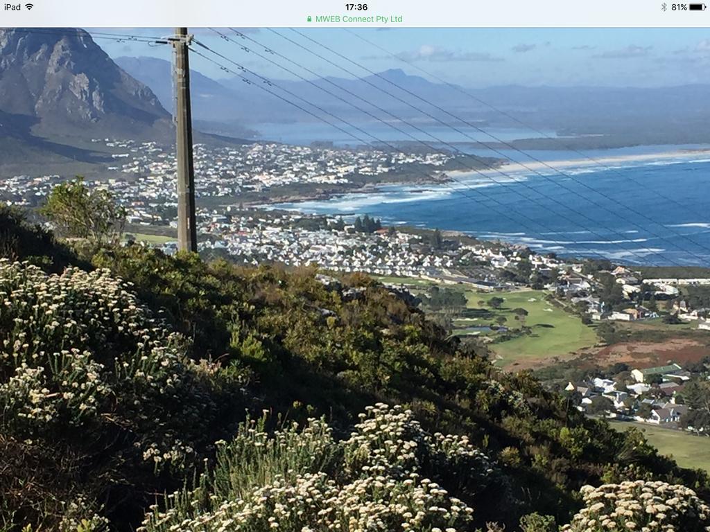 77 On 7Th Street Leilighet Hermanus Eksteriør bilde